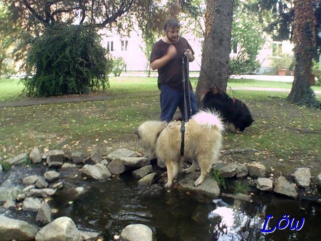 22.8.2025 - Das wollen wir garnicht sehen